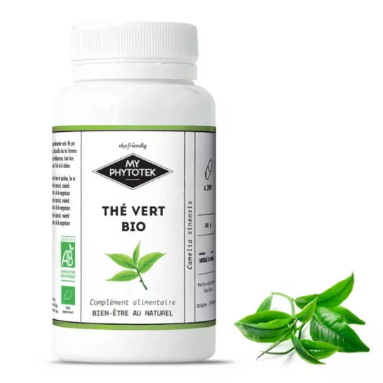 Tè verde biologico